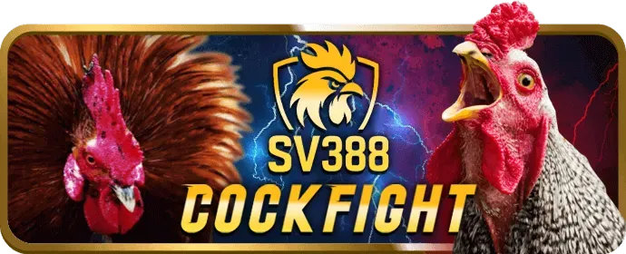 Biểu tượng Live Chat Wstar77 Chính Thức